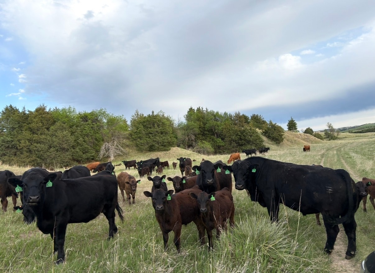 Box Canyon Ranch scenery