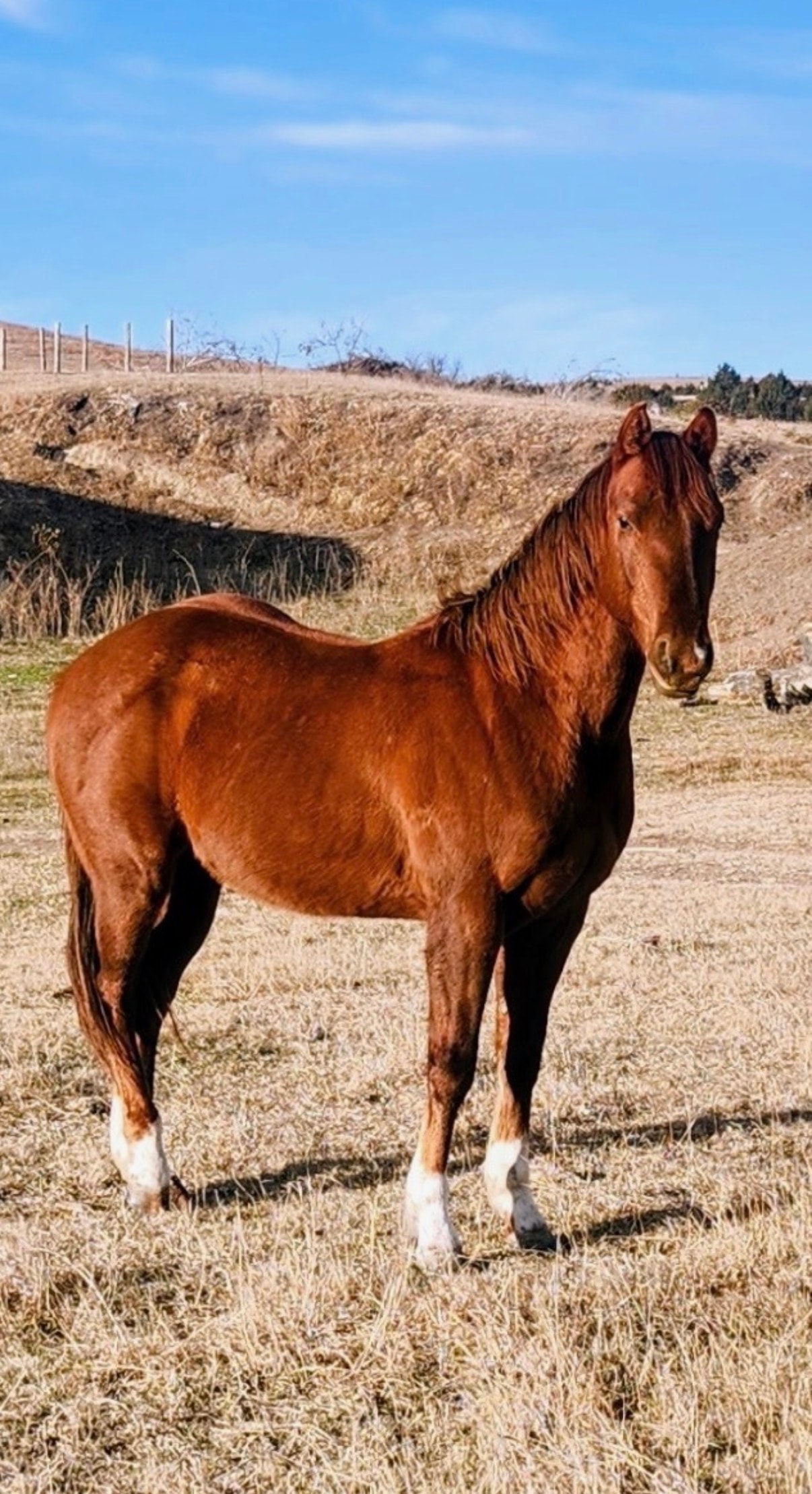 Cowboys riding horses through mountain valley